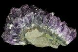 Purple Amethyst Cluster - Uruguay #66750-3